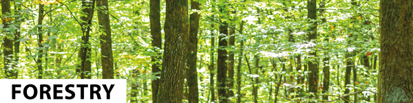 Forestry