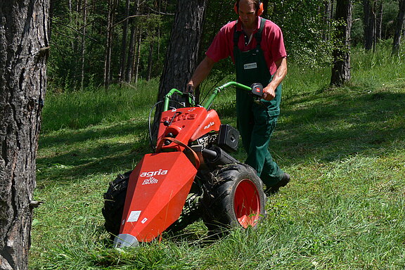 agria 5900 Bison mit Mähbalken
