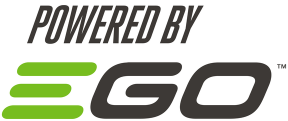 EGO-Logo EGO-Logo