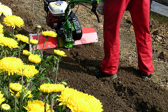 agria 0100-R Motorhacke