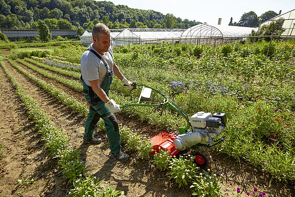 agria 3100 Einradhacke mit Fräse