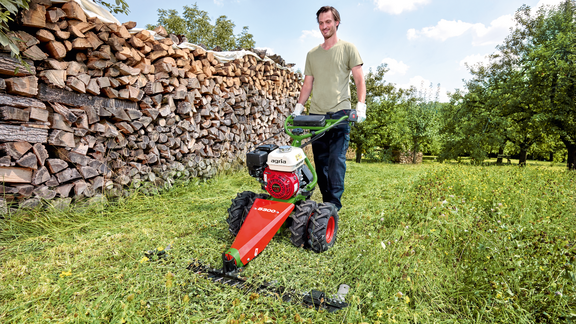 agria 5300 mit Mähbalken