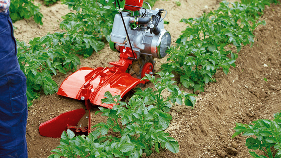 agria 3100 mit Häufelkörper