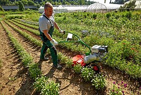 agria 3100 Einradhacke