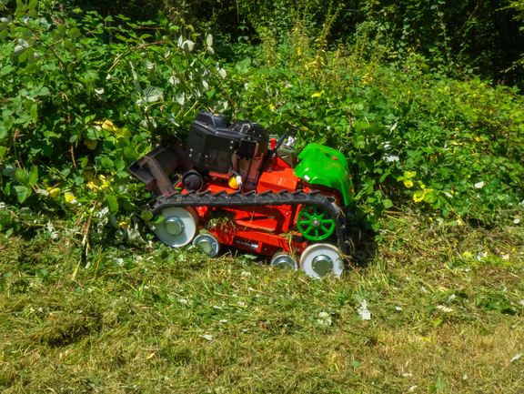 agria 9500-90 in der Hecke