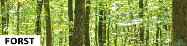 Forst