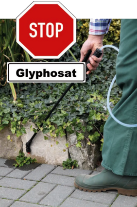 Glyphosat