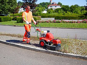 Wildkrautbürste agria 8100