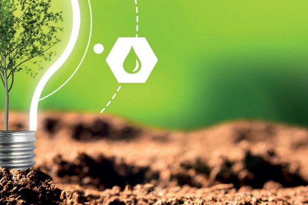 Erfolg und Nachhaltigkeit