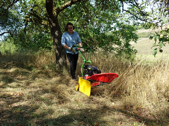 agria 8000 Gestrüppmäher